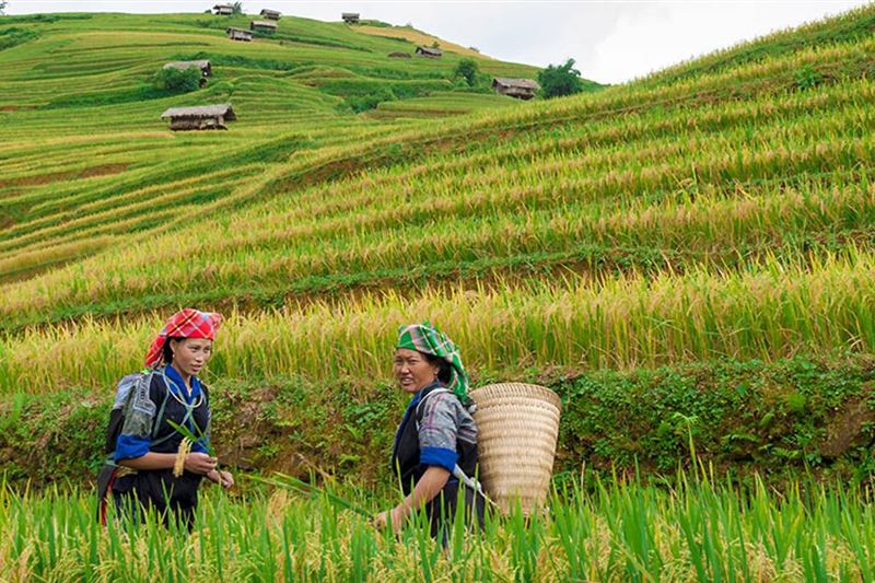 Sapa Trekking Tour - Overnight in Hotel